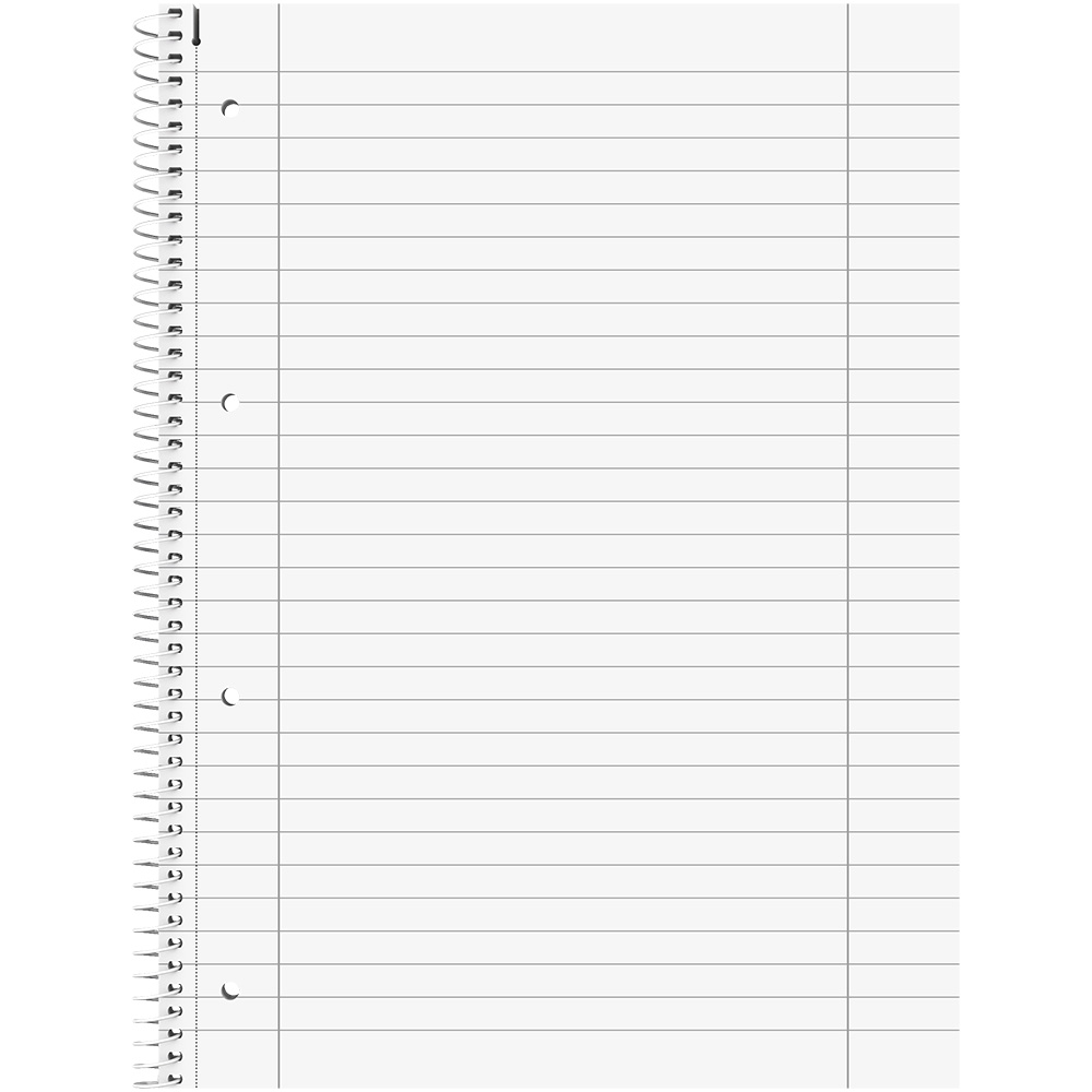 Тетрадь в линейку на пружине А4 Brunnen Premium Bloom, микроперфорация, 90 гр/м2, 80 листов В линейку-2