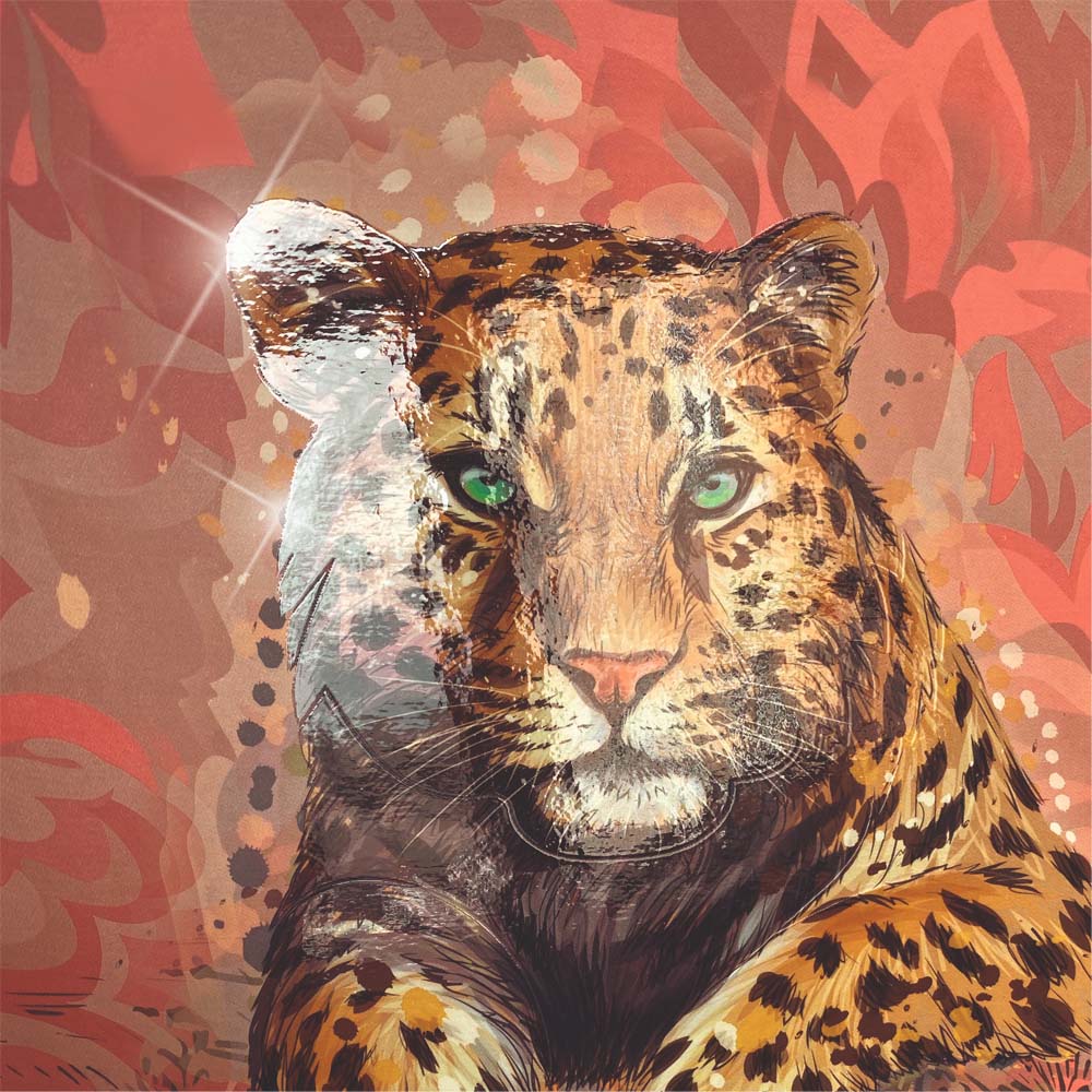 Тетрадь Brunnen Колледж Premium Safari World Леопард на пружине, линейка, 90 гр/м2, А4, 80 листов В линейку