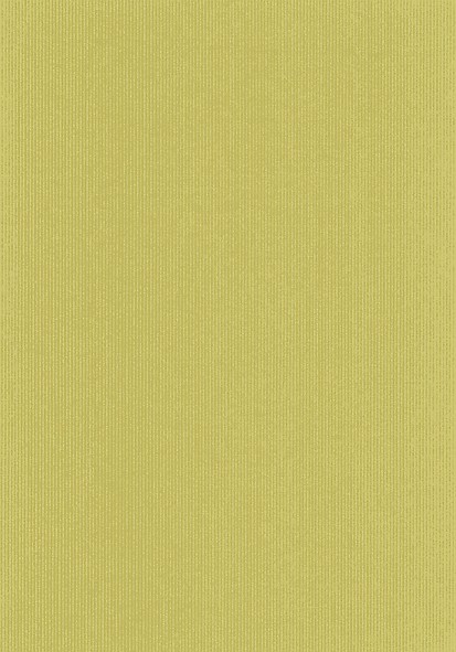 Бумага упаковочная Stewo Uni Color, 0.7 x 2 м Салатовый