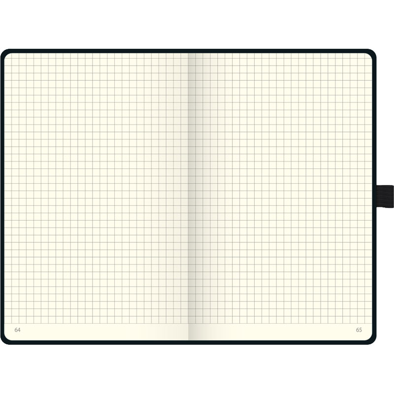 Блокнот Brunnen Компаньон White, на резинке, клетка, 80 гр/м2, 12.5 х 19.5 см, 96 листов, белый Белый-2