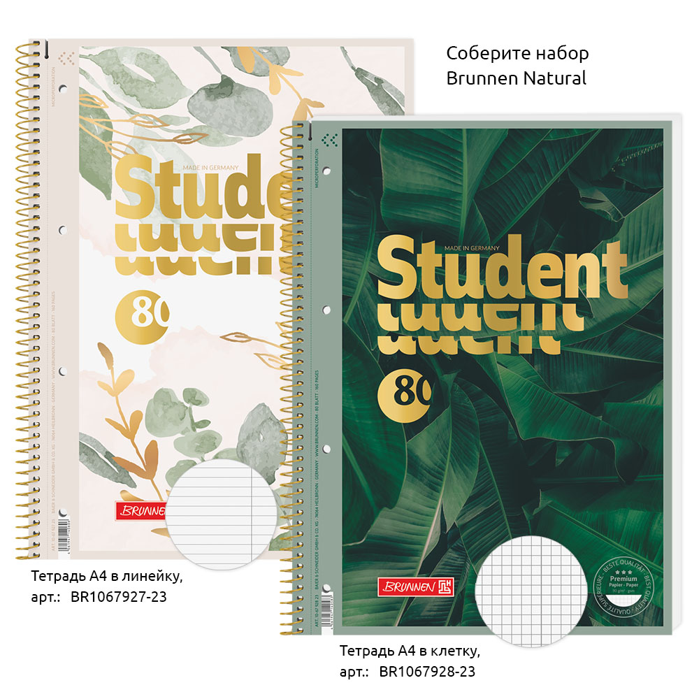 Тетрадь в линейку на пружине А4 Brunnen Premium Bloom, микроперфорация, 90 гр/м2, 80 листов В линейку-6