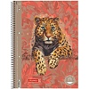 Тетрадь Brunnen Колледж Premium Safari World Леопард на пружине, линейка, 90 гр/м2, А4, 80 листов В линейку-9